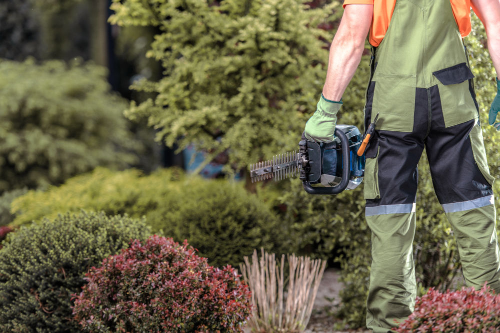 Garten und Landschaftspflege zavagebaeudeservice.de